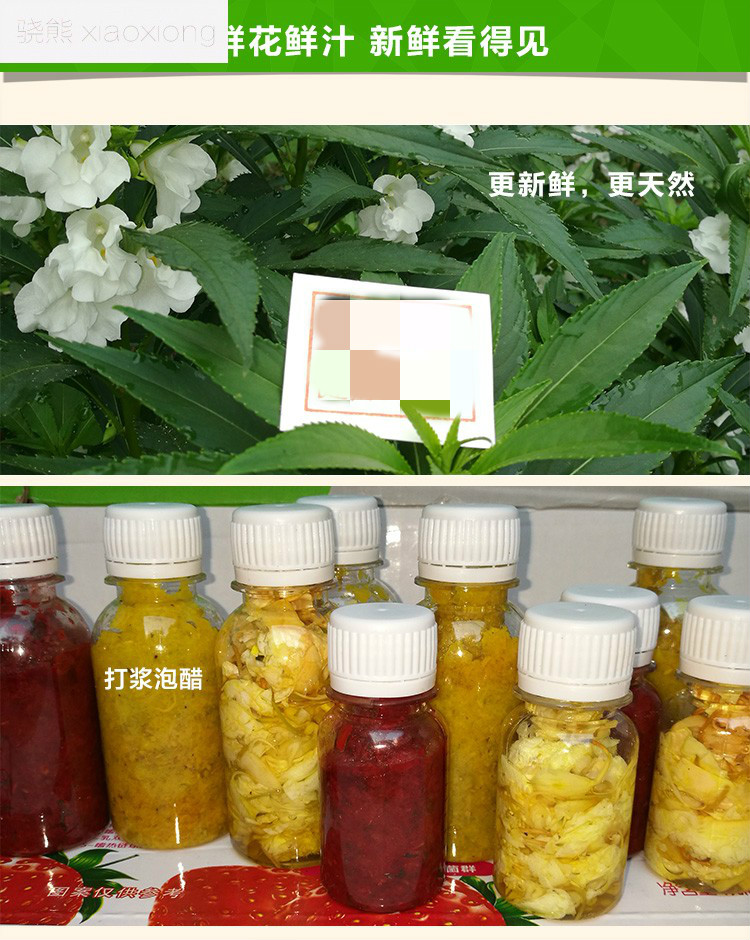 骁熊新鲜红白凤仙花花瓣泡酒打浆泡醋小桃红指甲草花染指甲50克白花