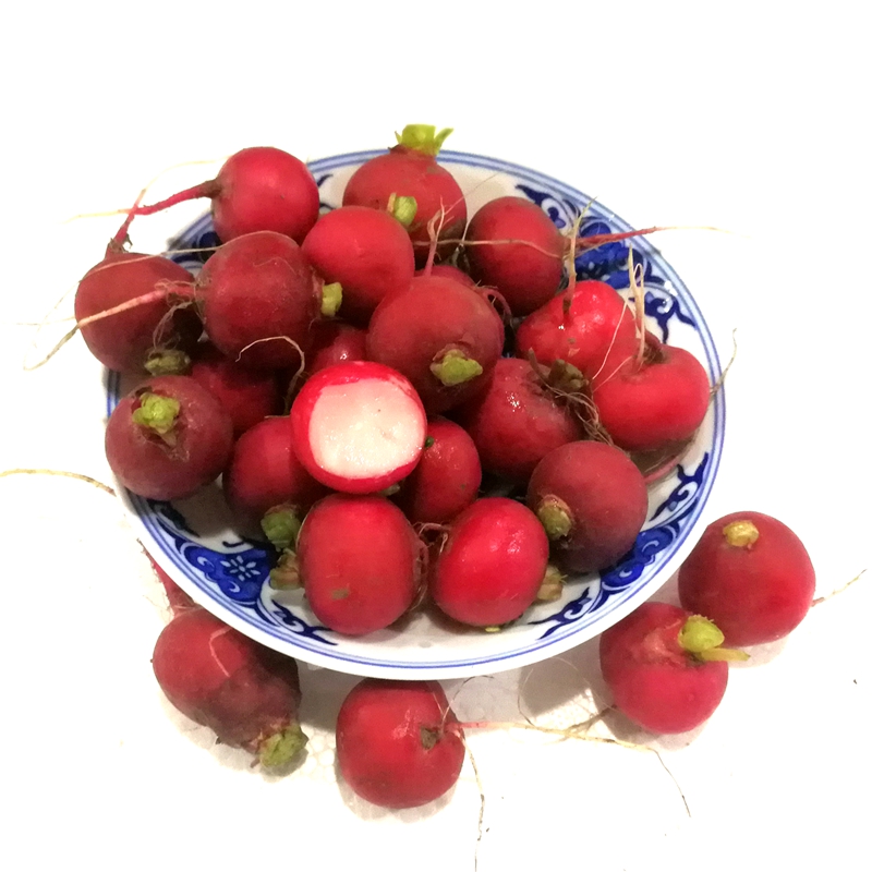 樱桃萝卜卜水果萝卜日天小萝小红萝卜迷你萝卜新鲜蔬菜【图片价格品牌评论】-京东