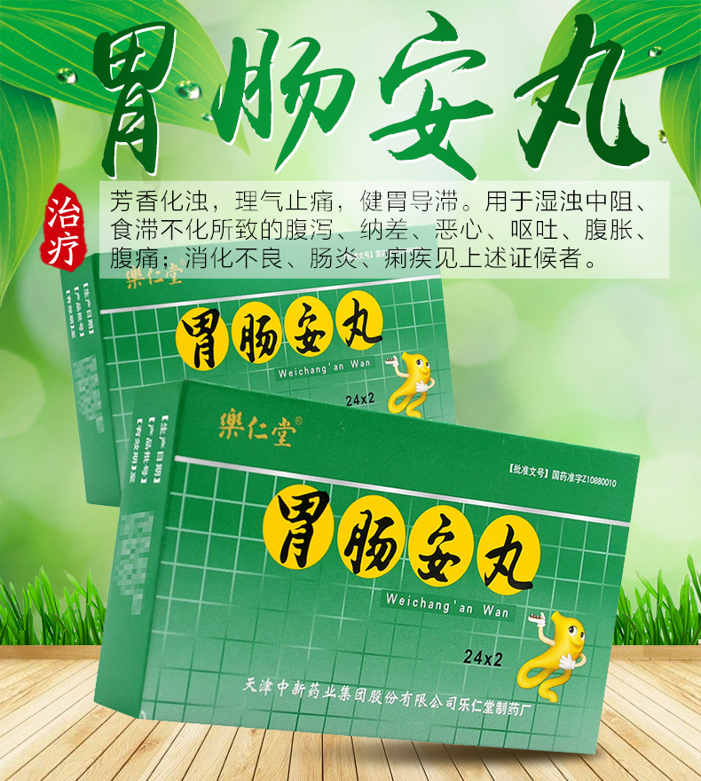 乐仁堂 胃肠安丸 0.