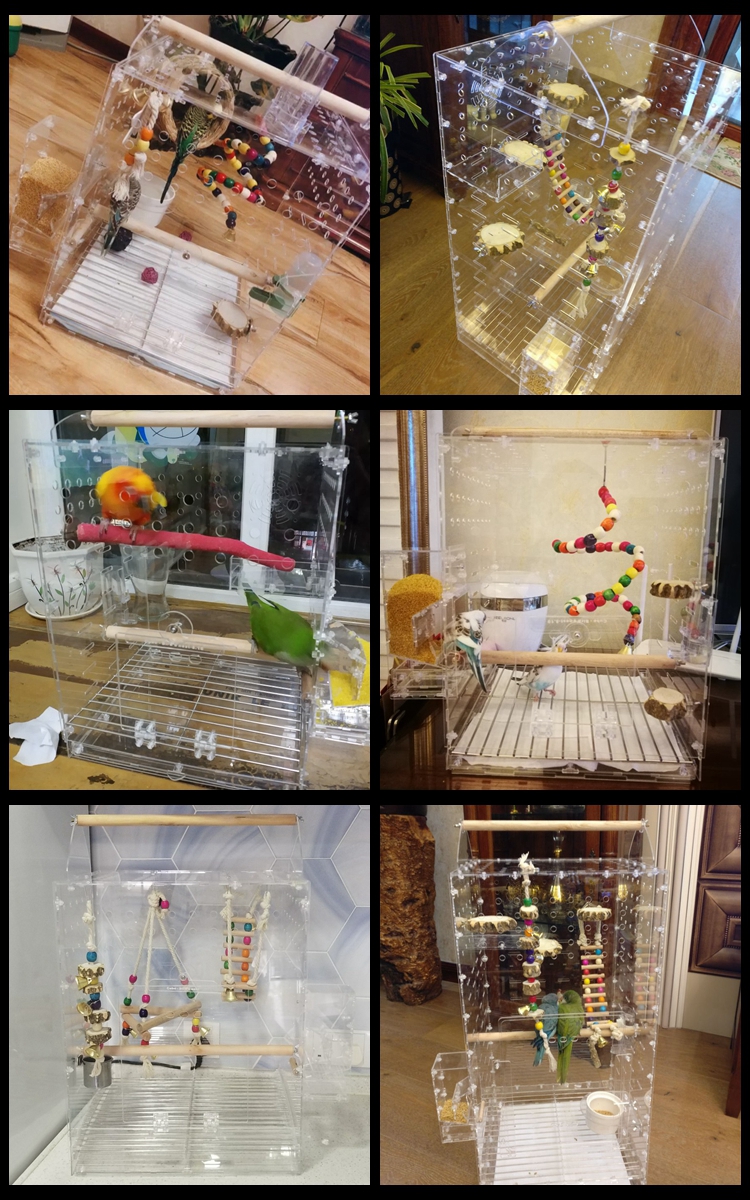 亚克力鹦鹉鸟笼透明灰鹦鹉笼子鹦鹉外带笼外带出行便携笼鹦鹉长40x宽