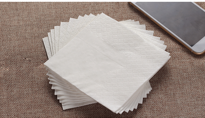 纸管家一次性餐巾纸双层餐巾纸印花纸巾抽纸店面巾纸整箱100包 整箱