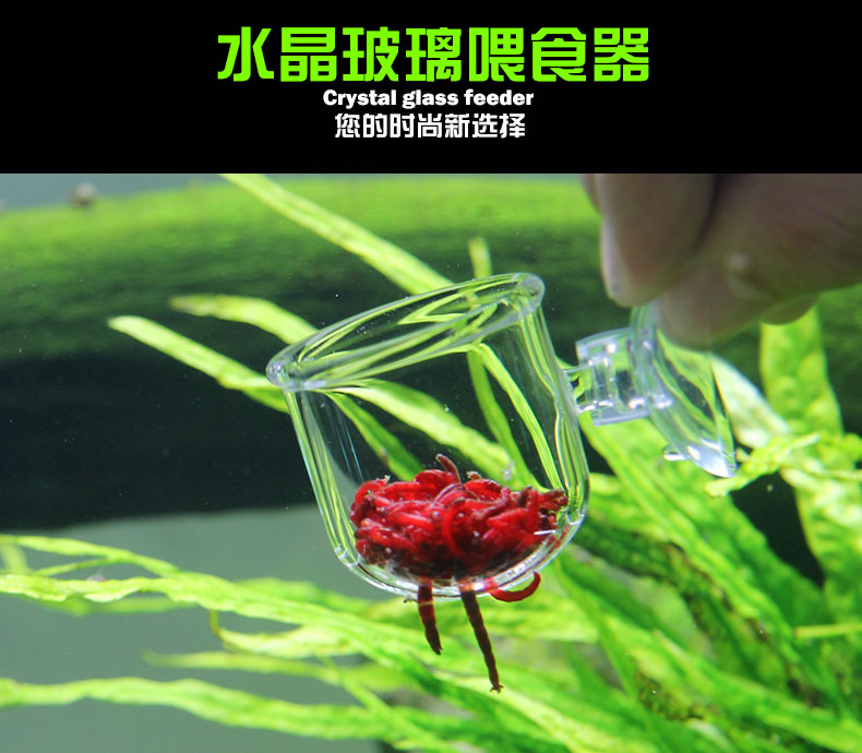 玻璃紅蟲杯魚缸自動餵食器餵魚器定時投食圈豐年蝦魚兒投餵圈 玻璃切