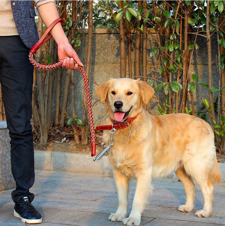 嗨派特 狗狗牵引绳狗链子 大型犬狗项圈狗绳 金毛牛皮狗链中型犬宠物