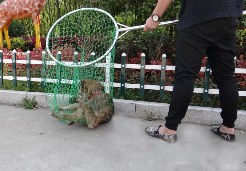 doxa 流浪動物抓捕器工具套裝捕狗網兜套狗網抓狗網繩超大抄網救助站