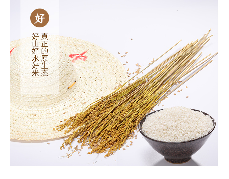 上市】苏北香米 海安大米 胚芽米 南粳9108 新米 10kg20斤 里下河大米