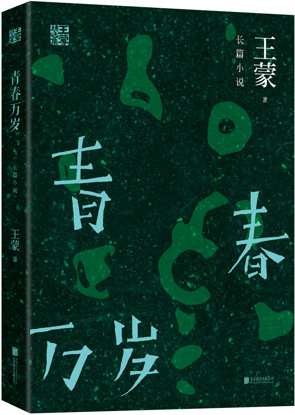 文学名家名著:王蒙精选集:青春万岁