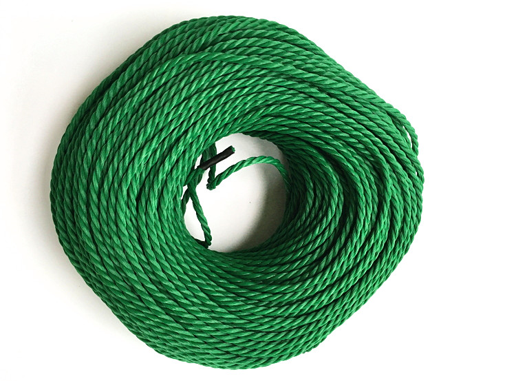 园艺拉绳绿色拉网绳高强度聚乙烯扁丝pp绳打包绳帐篷绳 6mm的1公斤/约