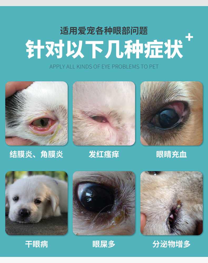 99 50 金盾润康狗狗眼药水硫酸新霉素滴眼液犬猫消炎洗眼液抗菌消炎结膜炎角膜炎眼睑炎去眼屎去泪8ml 图片价格