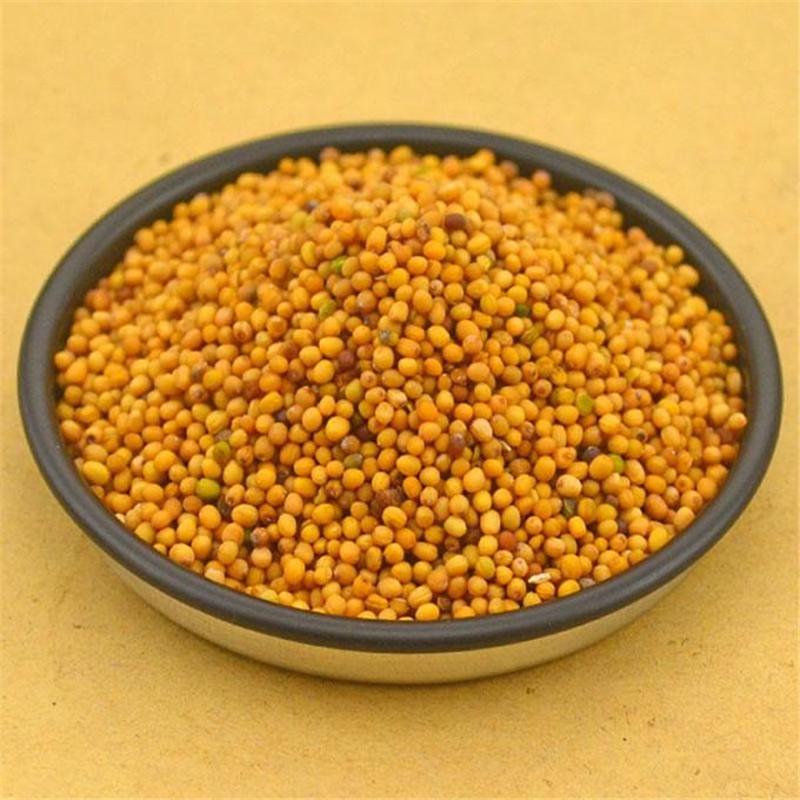 白芥子种子中药材白芥子籽白芥末籽白芥子一斤