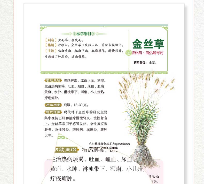 本草纲目李时珍彩图版本草纲目彩色图鉴中草药大全书中药学古方养生