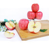 Jingmi Luochuan Apple Red Fuji Fresh Fruit New Fruit Gift Box Net Weight 8.6 Jin Single Fruit 250g Origin Head Straight Hair