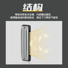 BoogieMAN Yuanyuan's same model ProReeds ten-hole harmonica paddy blues for adults and children beginners blues 10 holes