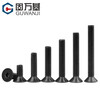 Guwanji grade 10.9 high-strength countersunk head hexagonal screws flat head bolts iron black flat cup machine screws national standard M4*10 100 pieces
