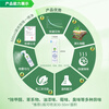 Green Packet Formaldehyde Removing Spray New House Decoration Decomposes and Purifies the Air Jelly to Absorb Odors Benzene Tvoc Sends Testing Box