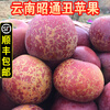 Rose Garden 2025 New Fruits Now Picked, Yunnan Zhaotong Wild Ugly Apple Rock Candy Heart Rare Fruit Fresh Crisp Sweet Large Fruit 75mm (inclusive)-80mm (exclusive) 10 catties