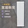 Casaro steel 60 wide 600m radiator household heating steel radiator surface-mounted wall-mounted central heating spot 600m 12 columns