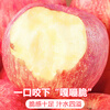 Jingdida Shaanxi Luochuan apples net weight 8.5 catties single fruit 175g + fresh red Fuji apples shipped directly from the source with free shipping