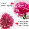 MISFIT flower desiccant 500g dried flowers silica gel powder to make immortal flowers moisture-proof reusable desiccant flowers
