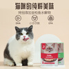 Most Favorite (Paddy Time) Cat Snacks Cat Snacks Salmon 10g*16 Packs Pet Adult and Kitten Wet Food Liquid Snacks Replenish Hydration and Fattening Hair