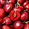 JOYVIO Australian Tasmanian cherries 3J grade 1kg gift box, fruit diameter about 30-32mm, straight from the source