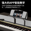 Kawaii grand electric piano 88-key hammer home grade examination performance student vertical digital adult electronic piano black