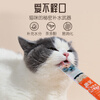 Most Favorite (Paddy Time) Cat Snacks Cat Snacks Salmon 10g*16 Packs Pet Adult and Kitten Wet Food Liquid Snacks Replenish Hydration and Fattening Hair