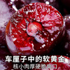 Ziyi imported cherries from Chile JD/SF Express next-day delivery to multiple places 3J4J optional cherry fruit gift box 4 catties (net weight) 5 catties in box gift box gift selection gold diamond gift level 4J Super Big Mac 32-34mm