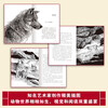 Dream of the Wolf King New Edition Shen Shixi, King of Animal Novels Children's Literature Readings for 4th, 5th and 6th Grade Elementary School Students