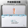 Xingx (XINGX) freezer household commercial refrigeration single temperature horizontal top door large capacity - 40 degrees deep cooling fresh-keeping freezer 718 liters - 40 five-sided refrigeration
