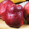 Jingxiansheng Tianshui Huaniu Apple, net weight 4.5kg, single fruit 260g+, fresh fruit straight from the source