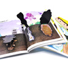 3-6 years old spatial thinking training game book, cave exploration + tropical adventure + arctic adventure (set of 3 volumes) observation and logical analysis, training spatial perception, improving mathematical logical thinking, getting lost and finding family members