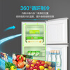 Frestec 118L two-door partitioned storage mini environmentally friendly, energy-saving, compact refrigerator BCD-118L2D