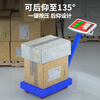 Yongcai (YONGCAI) electronic scale commercial high-precision electronic scale floor-standing charging weighing platform scale household scale stall business scale selling vegetables smart pricing scale express scale industrial counting scale 150 kg 30*40 steel key indoor red letter long battery life no installation required