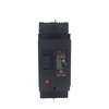 Guangdong DZ15-100/2901 plastic case circuit breaker air switch 100A220V two-phase 2P 63A