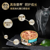 Xibao cat canned tuna and tender chicken 85g single can seafood soup series imported canned cat wet food