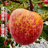 Jingdida Sichuan Daliangshan Ugly Apple 4.5kg single fruit 75mm+ fresh fruit direct from source with free shipping