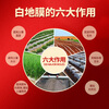 Yueshun white mulch agricultural plastic film 1.2 meters wide 1 wire about 315 meters long mulch transparent film geomembrane weeding cloth