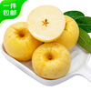 Enjoy Shandong Golden Venus Apple, net weight 4.5kg, single fruit 220g+, fresh fruit, straight from the source