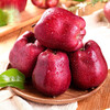 Jingxiansheng Gansu Tianshui Huaniu Apple, big and red, 4 pieces, more than 200g per fruit, fresh fruit
