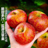 Jingdida Sichuan Daliangshan Ugly Apple 4.5kg single fruit 75mm+ fresh fruit direct from source with free shipping