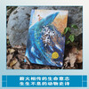The Song of Dolphins Shen Shixi’s Life Epic Trilogy The King of Animal Novels Shen Shixi’s Collection of Books Series Children’s Literature Extracurricular Reading Books for Primary School Students