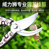 Power Lion wynn s Power Lion garden shears pruning shears fruit tree shears SK5 steel labor-saving household flower pruning scissors tool 65# manganese steel forging (W4114)