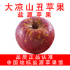 Yanyuan Apple Hall Daliangshan Ugly Apple Yanyuan Apple Candy Heart Apple 2025 Freshly Picked Medium Large Fruit (75-80mm) Net Weight 8 Jin