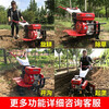 Cottage two-wheel drive micro-tiller, multi-functional small tillage machine, agricultural mountainous land weeding, ditching and soil loosening tractor 170F gasoline model + rotary blade rubber wheel