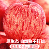 Jingdida Shaanxi Luochuan apples net weight 8.5 catties single fruit 175g + fresh red Fuji apples shipped directly from the source with free shipping