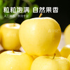 Jingmi Golden Venus Apple Fruit Fresh from Shandong, net weight 5 pounds, single fruit starting from 150g, straight from the source