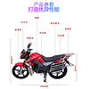 Wang Ye's new National IV new car, the Demon Shadow model, men's straddle motorcycle, street running, fuel delivery, fuel-saving, can be licensed, package is licensed, National IV package is licensed