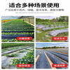 Silver and black two-color mulch film, new material, thickened insect-proof reflective mulch film covering weeding film, thermal insulation agricultural mulch film, silver black 10 pounds 1.2 silk thick 2 meters wide 150 meters long