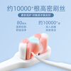UKS super soft 10,000-bristle toothbrush, small head, antibacterial, care for sensitive gums, gum protection for pregnant women, 2 super soft bristle toothbrushes