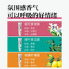 Huibaishi ZERO dense foaming toothpaste fresh breath whitening green leaf cucumber flavor 90g